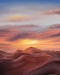 The Dunes by Laura Santori