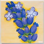 Elizabeth Noreen by Bridget Wappman