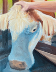 Hand on Cow by Julia Huff