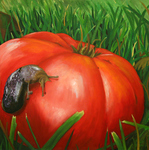 Slug on Tomato by Julia Huff