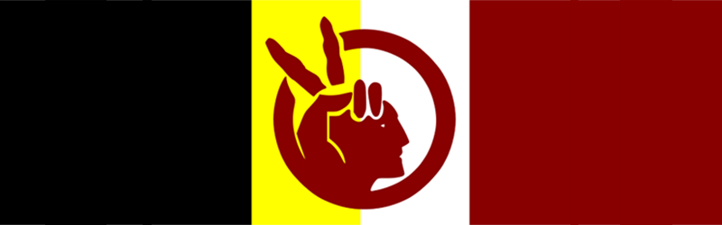 American Indian Movement and Activism