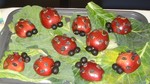 Ten Little Ladybugs by Denise Hartman