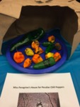 Miss Peregrine's House for Peculiar Chili Peppers by Serena Schaefer and DIY Publishing Class