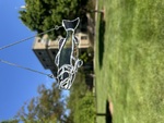 Glass Fish by Annaliese Holland