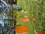 Glass Spectrum 2 by Michael J. Filoon, Zoe Horan, Gabrielle Testa, and Rachel Buono