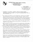 Statement of the Director, American Indians Against Desecration, July 30, 1985