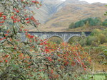 Glenfinnan Viaduct: The Harry Potter Train in Autumn by Cassidy Denning