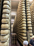 Parmigiano Reggiano Factory by Thomas Giorgianni