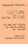 Program for the Stage Production Culture in the Sticks by ProTheatre Club