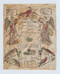 Blank Birth and Baptism Certificate by Johann Ritter (1779-1851)