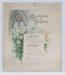 Birth and Baptism Certificate by The General Council Publication House